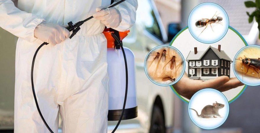 Sason Böcek İlaçlama