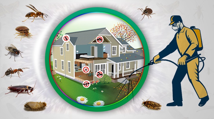 Sason Böcek İlaçlama