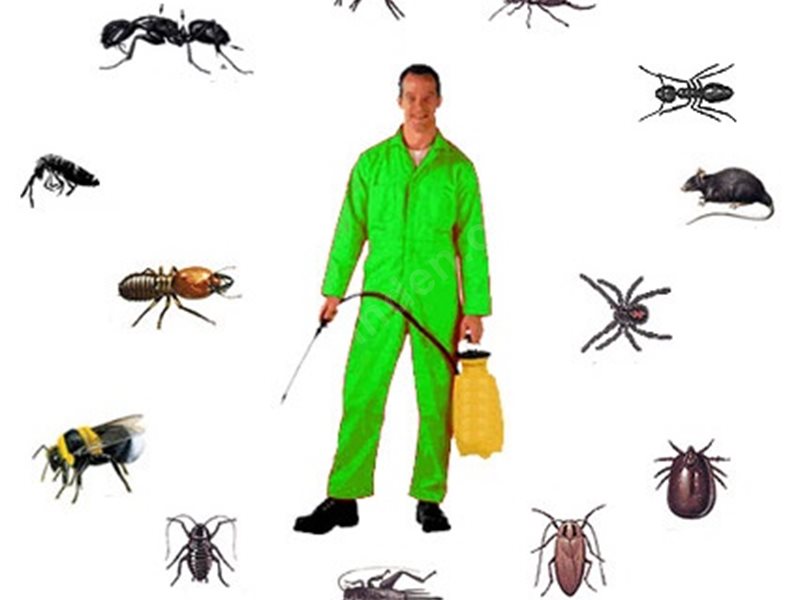 Sason Böcek İlaçlama